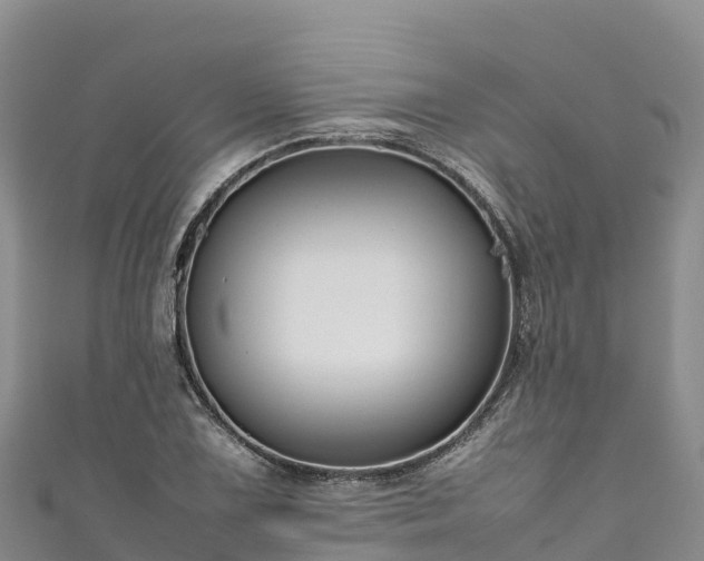 X0000111191075200907081251