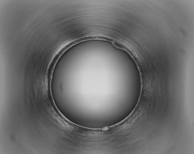 X0000111191076200907081251