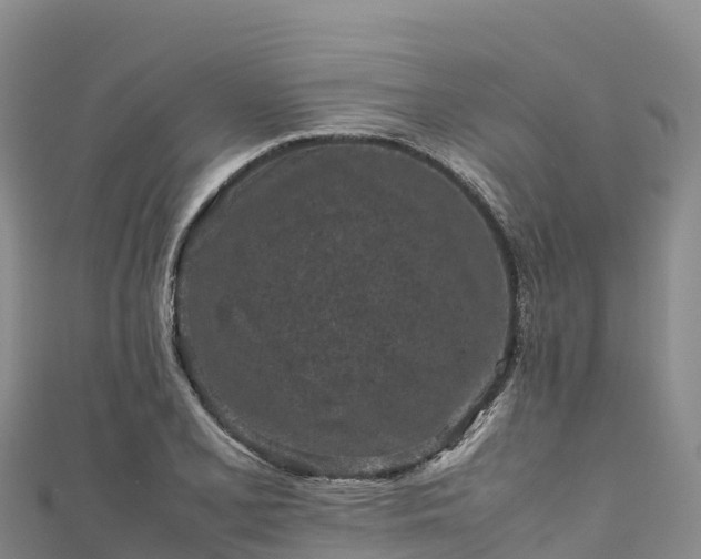 X0000111191077200907081251