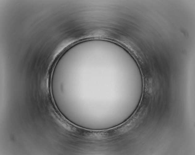 X0000111191078200907081251