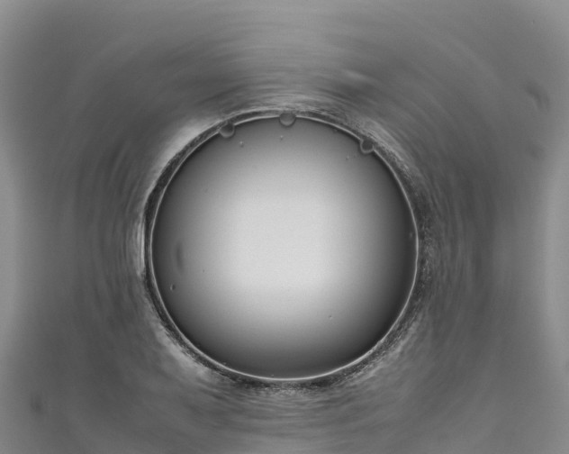 X0000111191079200907081251