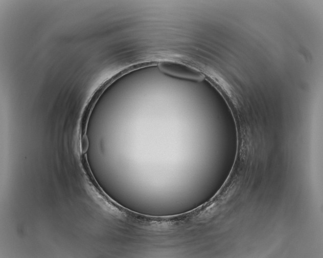 X0000111191080200907081251