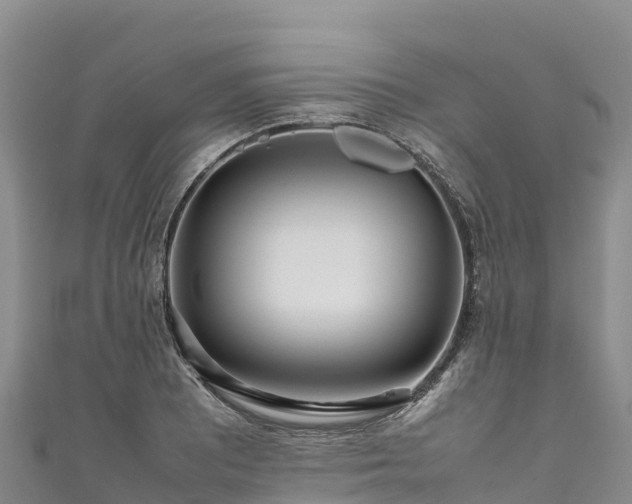 X0000111191081200907081251