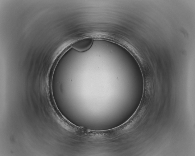 X0000111191082200907081251