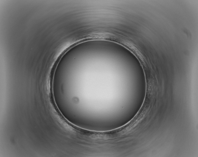 X0000111191083200907081251