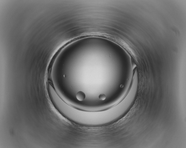 X0000111191084200907081251