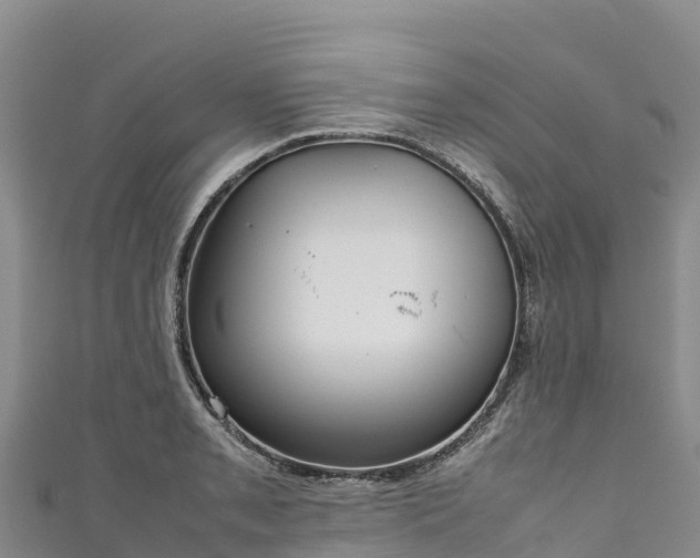 X0000111191085200907081251