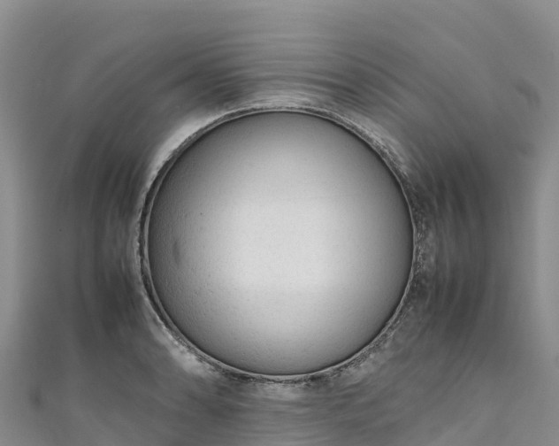 X0000111191086200907081251