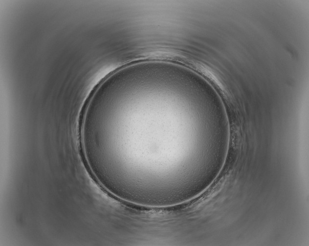 X0000111191087200907081251