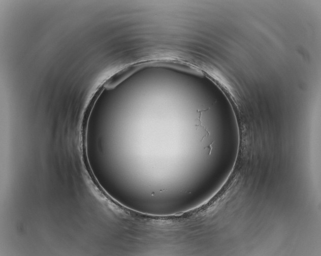 X0000111191088200907081251