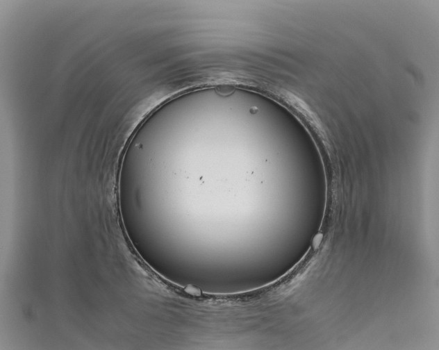 X0000111191089200907081251