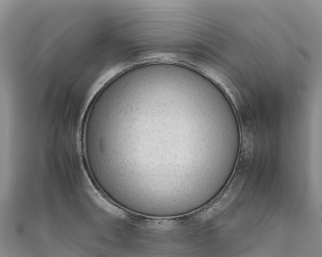 X0000111191090200907081251