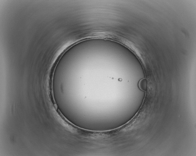 X0000111191091200907081251