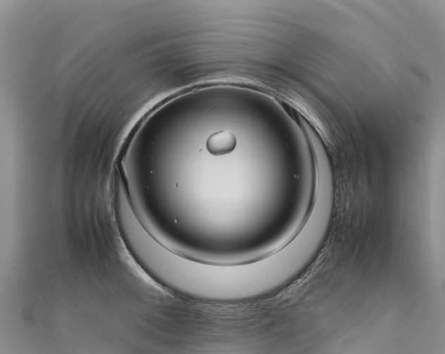 X0000111191092200907081251