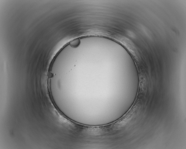 X0000111191094200907081251