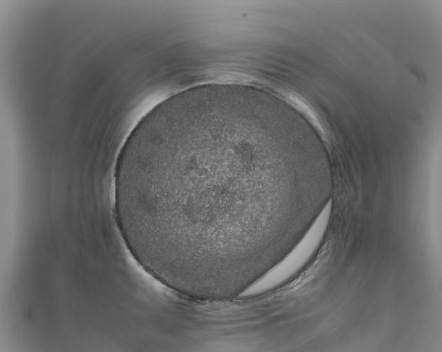 X0000111191095200907081251