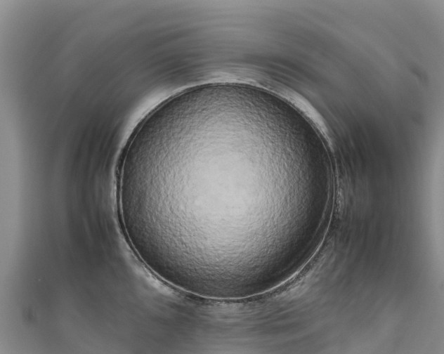 X0000111191096200907081251