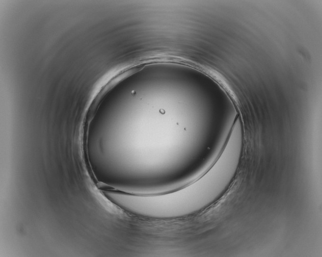 X0000111191098200907081251