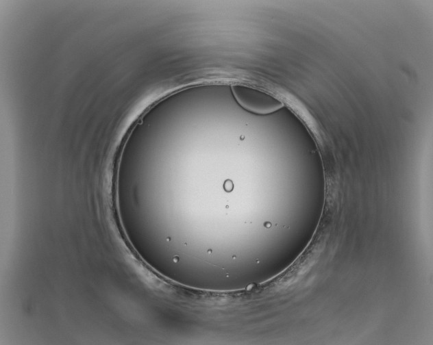 X0000111191099200907081251