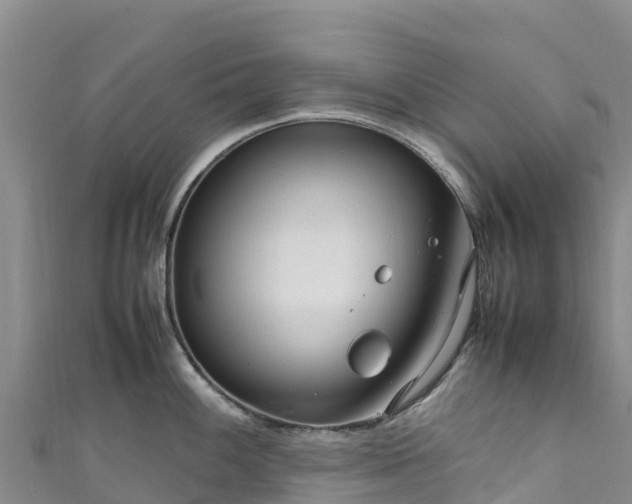 X0000111191100200907081251