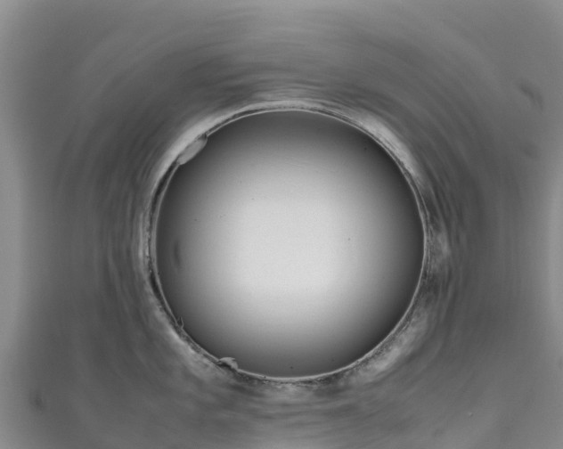 X0000111191101200907081251