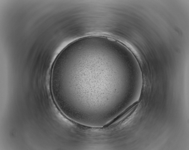 X0000111191102200907081251