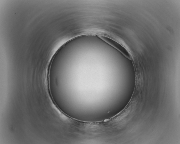 X0000111191103200907081251