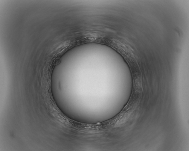 X0000111191105200907081250