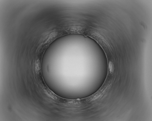 X0000111191107200907081250