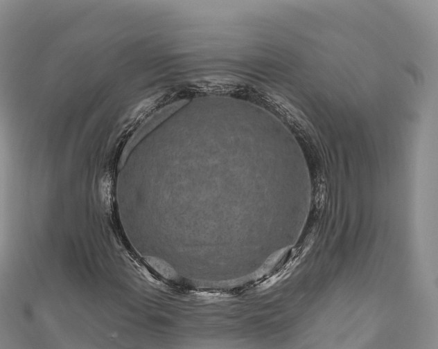 X0000111191108200907081250