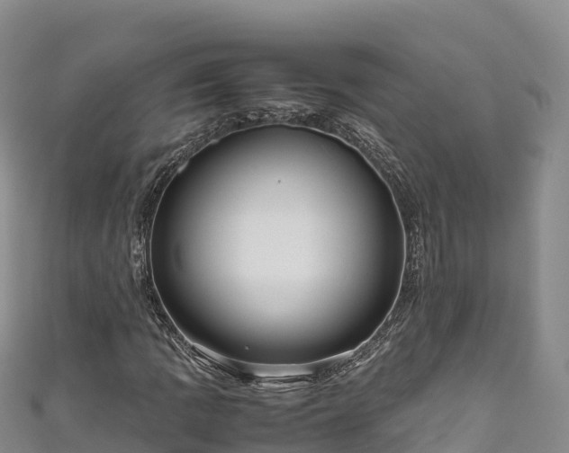 X0000111191109200907081250