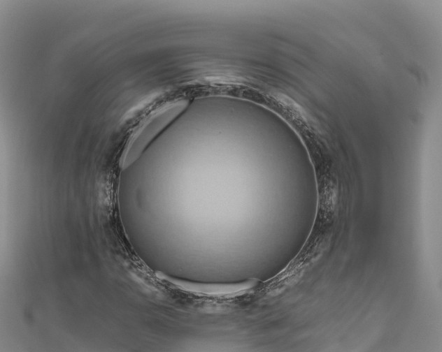 X0000111191110200907081250