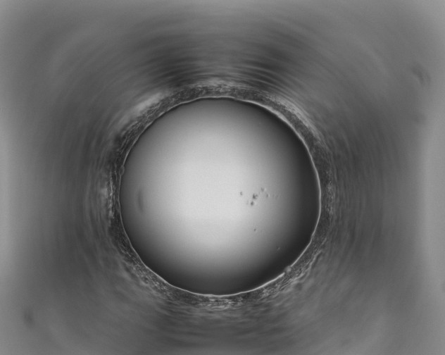 X0000111191111200907081250