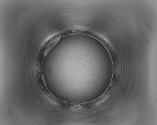 X0000111191112200907081250