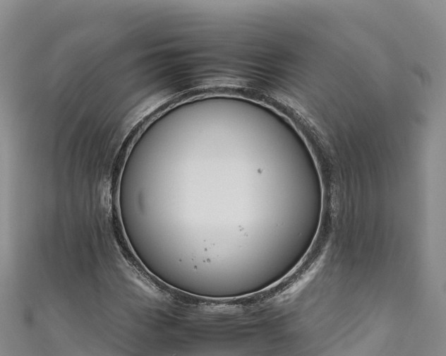 X0000111191113200907081250