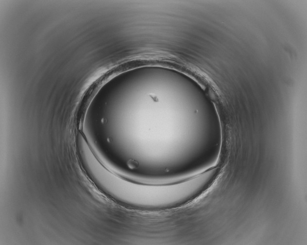 X0000111191114200907081250