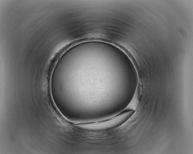 X0000111191115200907081250