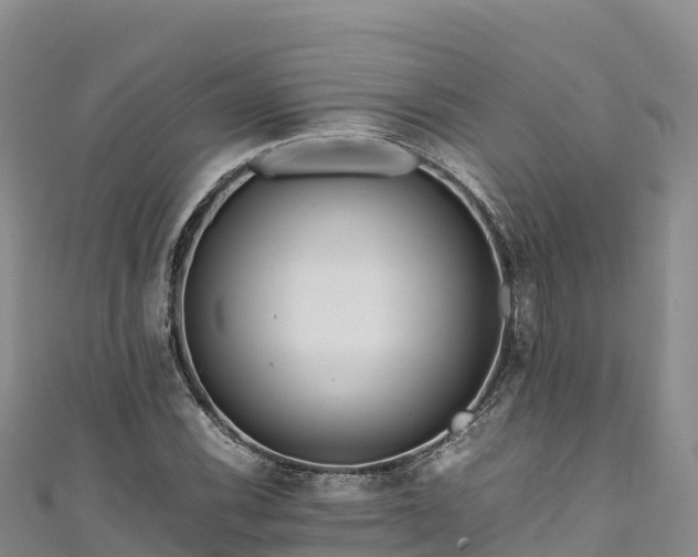 X0000111191116200907081250