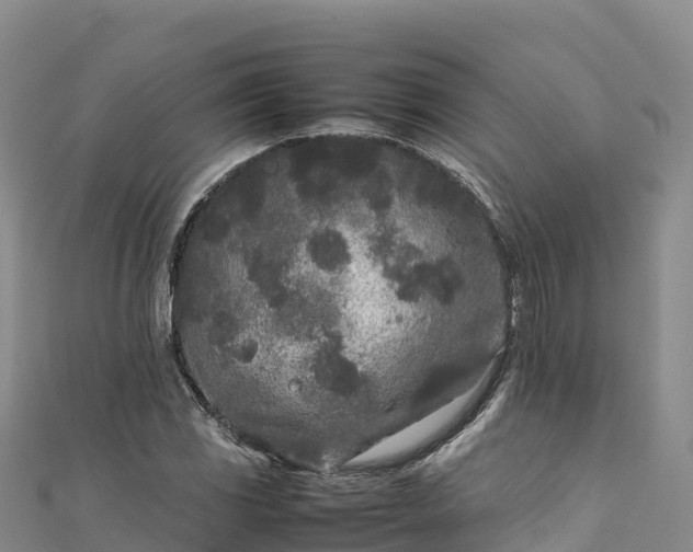 X0000111191117200907081250