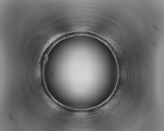 X0000111191118200907081250