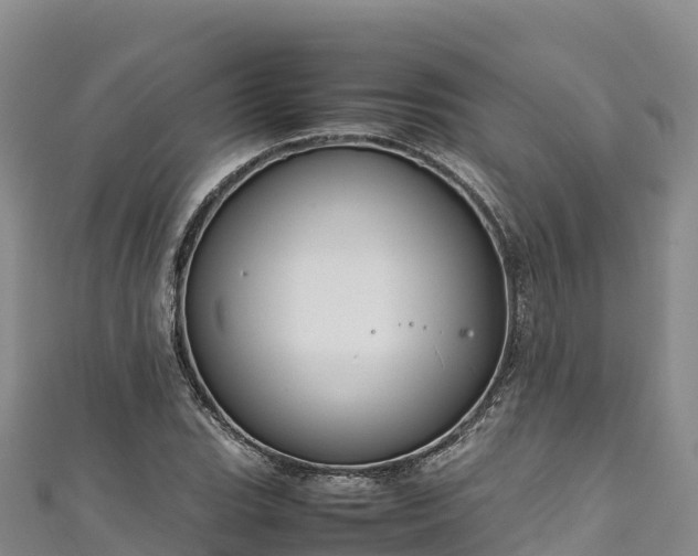 X0000111191119200907081250