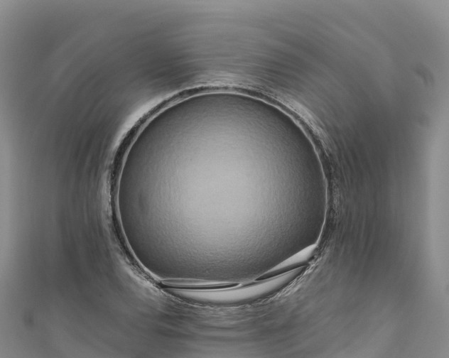 X0000111191120200907081250