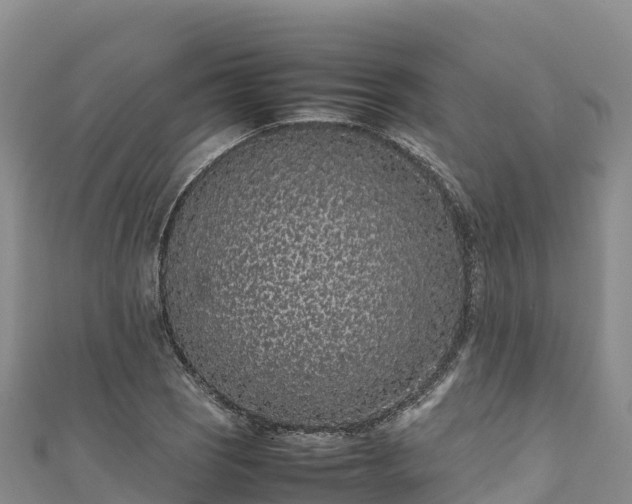 X0000111191121200907081250