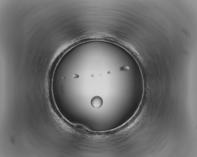 X0000111191122200907081250