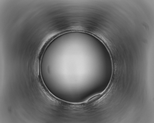 X0000111191123200907081250