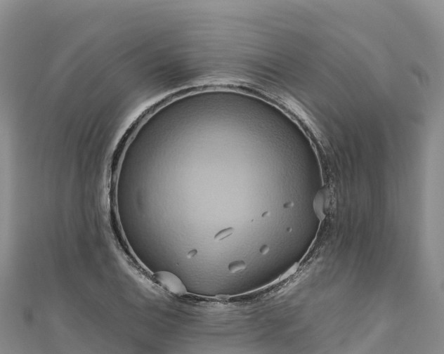 X0000111191124200907081250