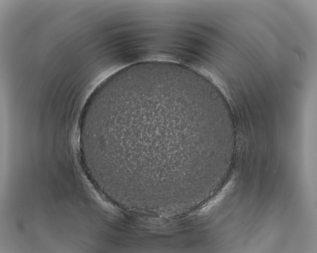 X0000111191125200907081250