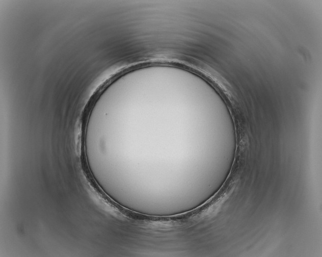 X0000111191126200907081250