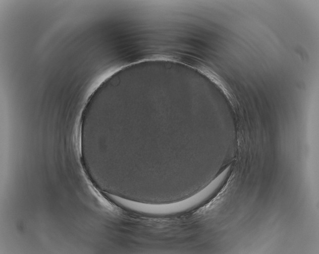 X0000111191127200907081250