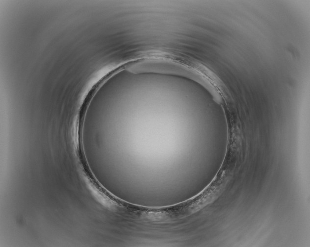 X0000111191128200907081250